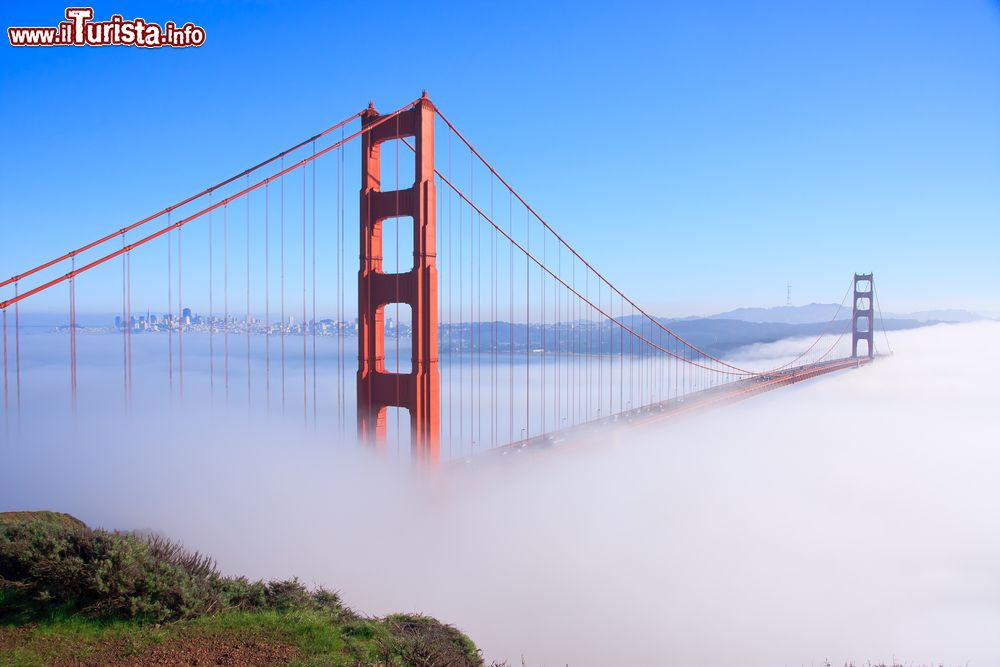 Immagine La nebbia della San Francisco Bay avvolge il Golden Gate Bridge, simbolo della città, creando un suggestivo effetto visivo.