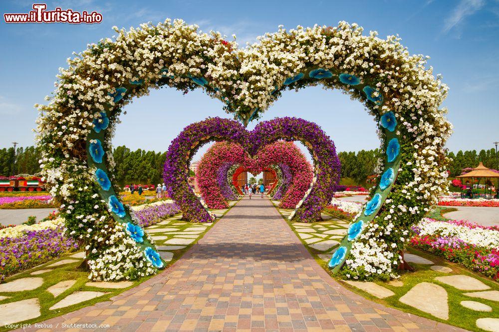 Cosa vedere e cosa visitare Miracle Garden