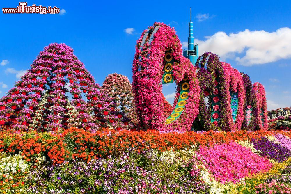 Immagine Panorama floreale al Dubai Miracle Garden, Emirati Arabi Uniti. I fiori del parco assemblati a forma di cuore e montagna sono solo alcune delle composizioni che si possono ammirare in questo immenso giardino arabo costruito nel deserto - © Alexey_Arz / Shutterstock.com