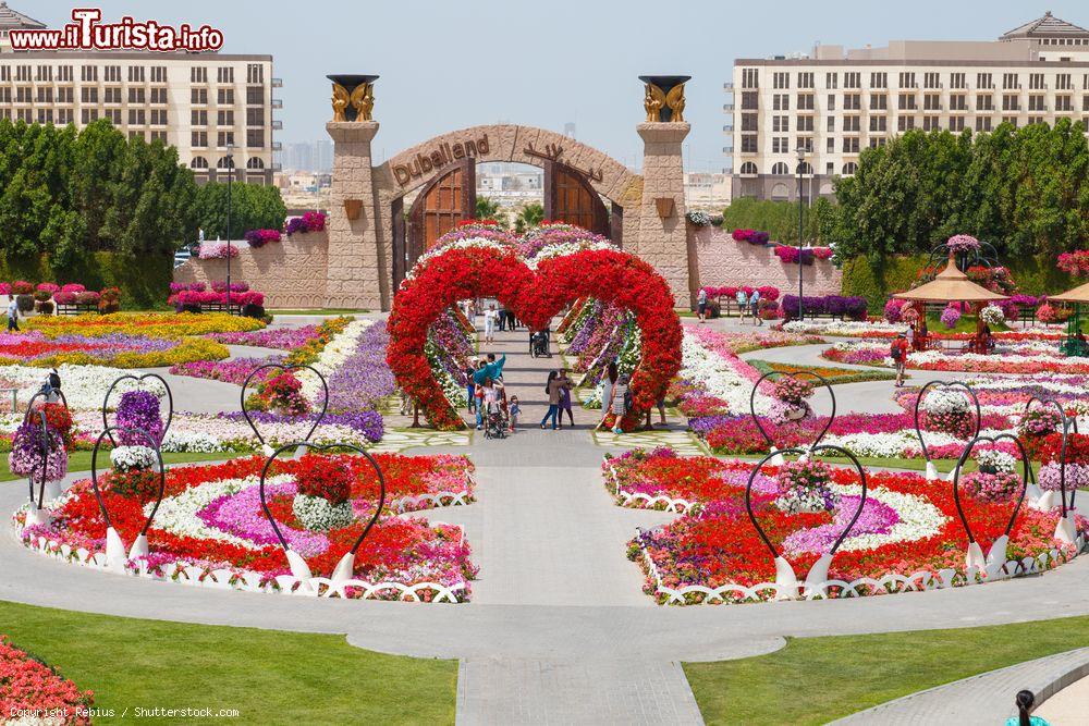 Immagine Uno scorcio panoramico della via dell'amore al Miracle Garden di Dubai, Emirati Arabi Uniti - © Rebius / Shutterstock.com