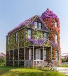 Una graziosa casa di fiori al Miracle Garden di Dubai, Emirati Arabi Uniti. Passeggiando per i sentieri del parco si possono ammirare decorazioni di ogni forma e foggia - © mariakraynova ...