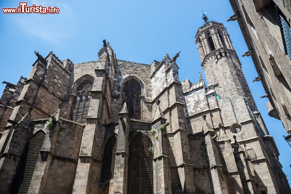 Immagine Contrafforti dell'abside, esterno della Cattedrale di Barcellona, Barrio gotico