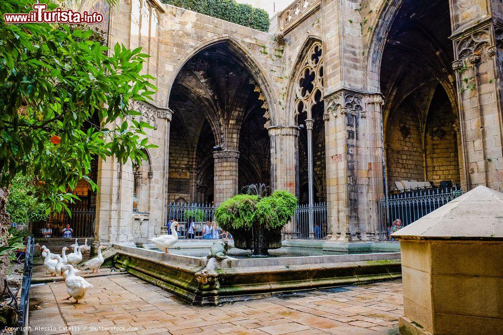 Immagine Il chiostro della Cattedrale di Barcellona - © Alessio Catelli / Shutterstock.com
