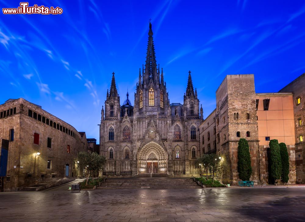 Cosa vedere e cosa visitare Cattedrale