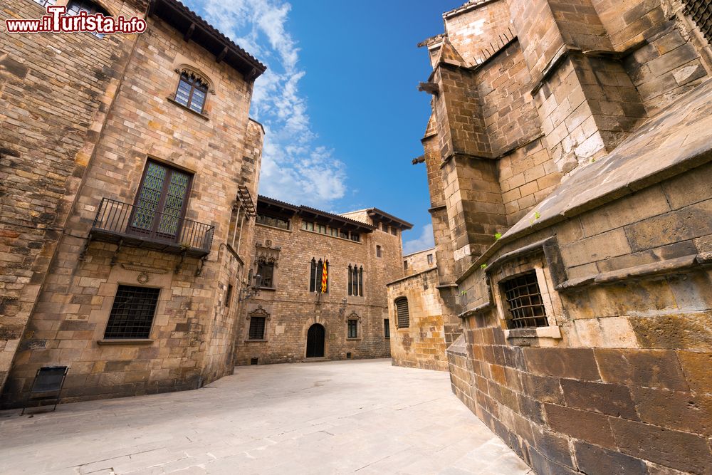 Immagine Passaggiata nel Barrio Gotico a fianco della Cattedrale di Barcellona