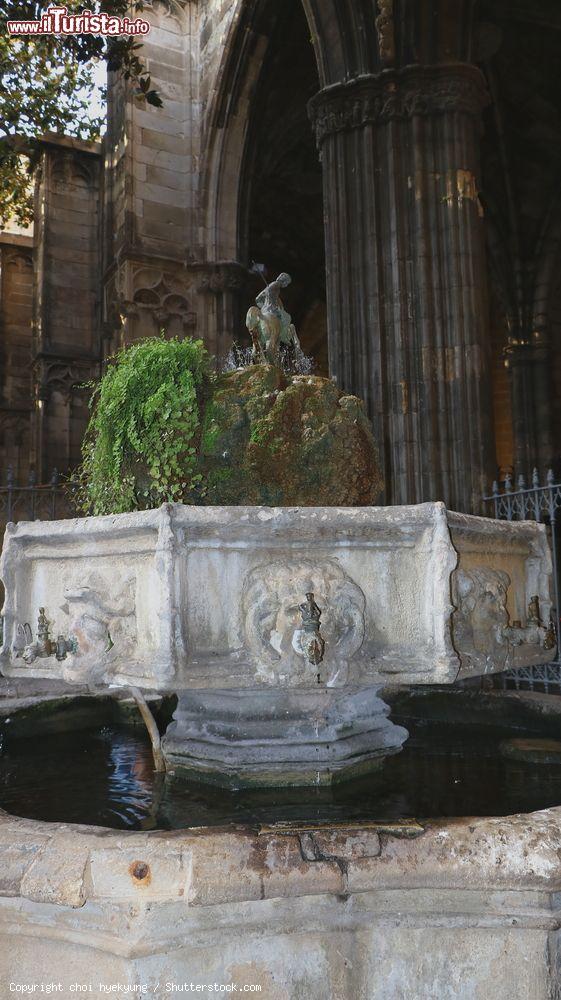 Immagine Una piccola fontana nel complesso della Cattedrale di Barcellona - © choi hyekyung / Shutterstock.com