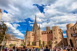 Il fianco della Cattedrale della Santa Croce e Eulalia a Barcellona - © alionabirukova / Shutterstock.com
