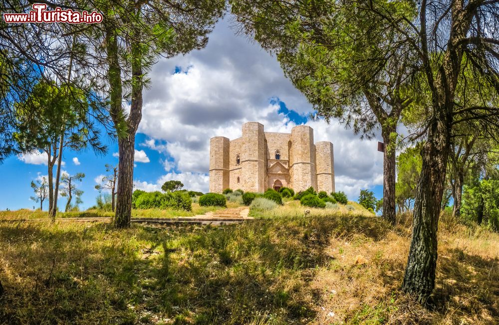 Immagine Escursione intorno al castello ottagonale di Castel del Monte vicino ad Andria