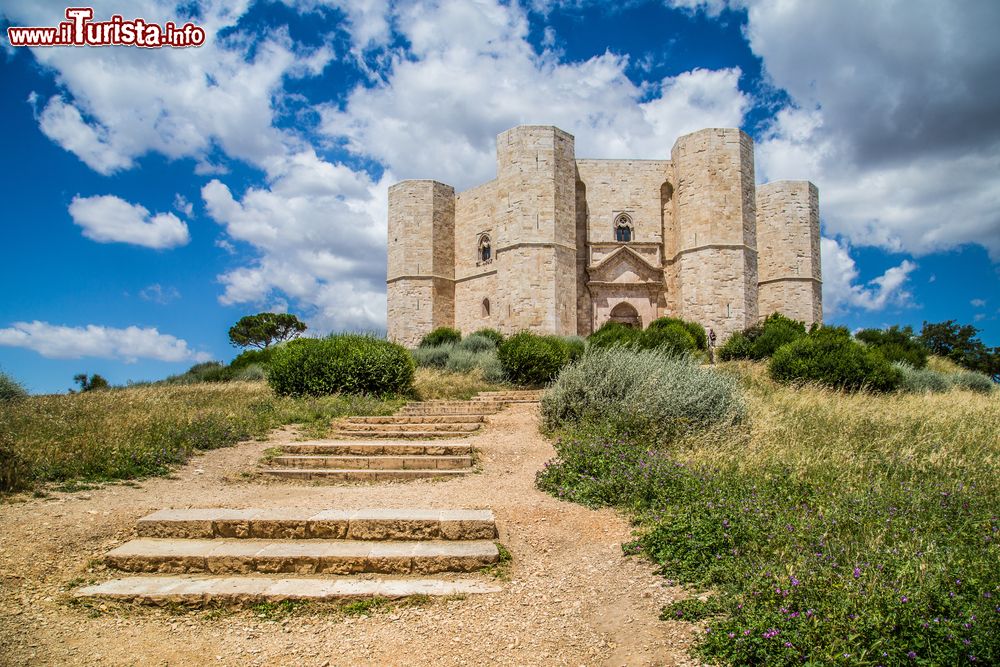 Immagine Il magnifico panorama che accoglie i visitatori quando salgono a Castel del Monte in Puglia