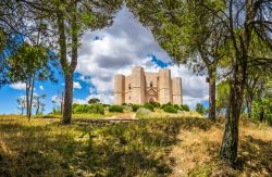 Escursione intorno al castello ottagonale di Castel del Monte vicino ad Andria