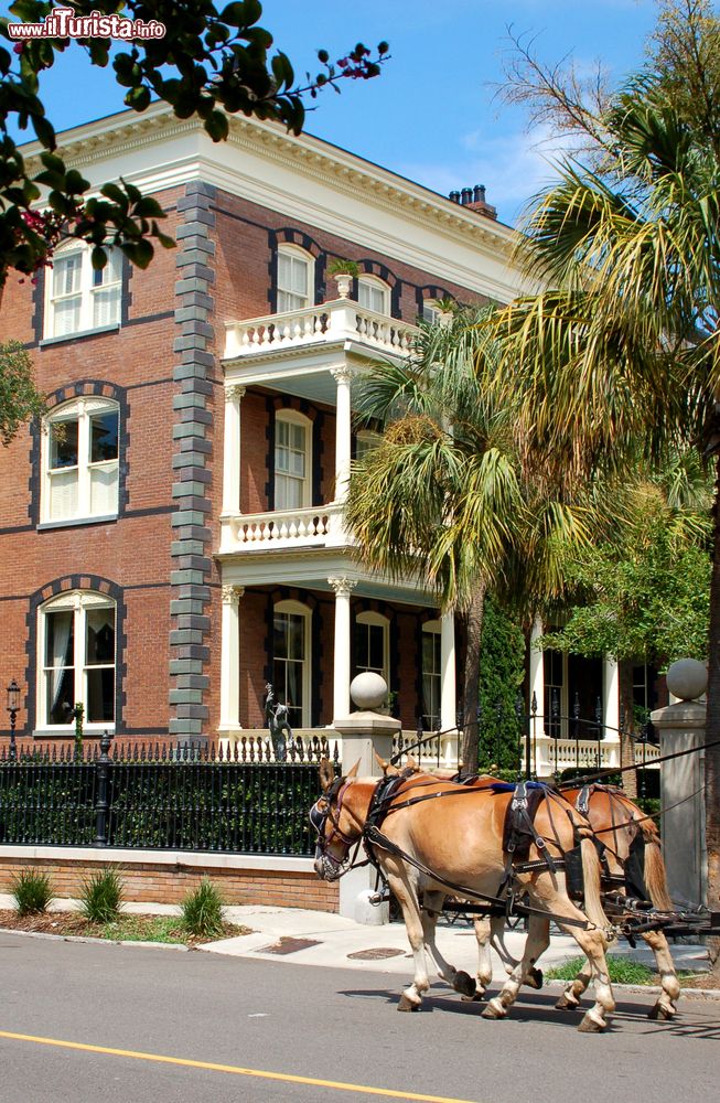 Immagine Un cavallo traina una carrozza nelle stradedel Ditretto Storico (Historic District) di Charleston, South Carolina.