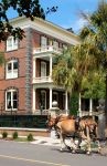 Un cavallo traina una carrozza nelle stradedel Ditretto Storico (Historic District) di Charleston, South Carolina.