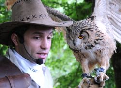 Uno spettacolo di falconeria organizzato nel parco della Città della Domenica di Perugia