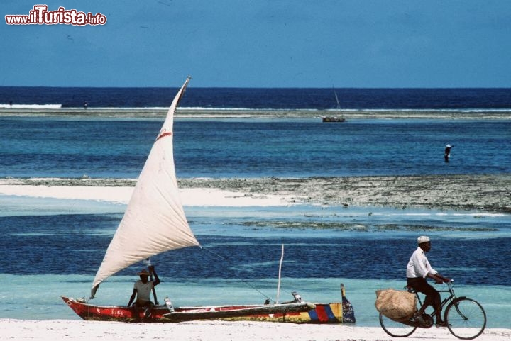 Immagine Spiaggia e barriera corallina sulle coste del Kenya, Oceano Indiano