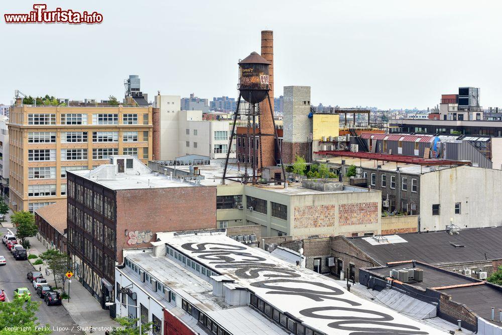 Immagine Brooklyn, New York: i graffiti ricoprono molti edifici di Williamsburg, uno dei quartieri dove vive il maggior numero di artisti della città - © Felix Lipov / Shutterstock.com