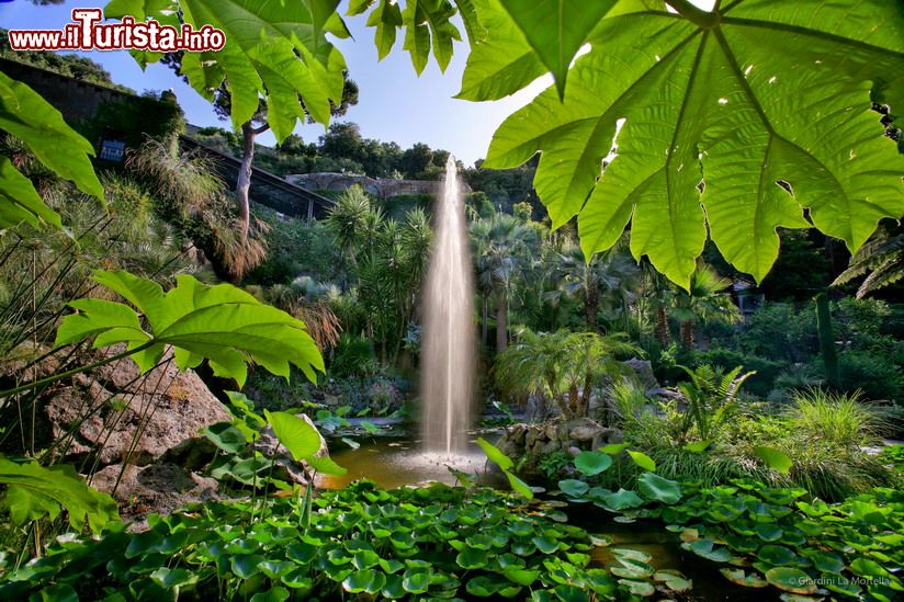 Immagine I Giardini La Mortella di Ischia sono stati progettati negli anni Cinquanta dal paesaggista Russell Page.