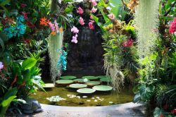 Fiori tropicali con i loro sgargianti colori adornano una fontana dei Giardini La Mortella sull'isola di Ischia (Campania, Italia).