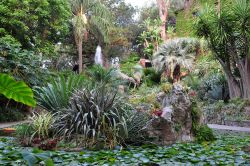 I giardini botanici La Mortella, sull'isola campana di Ischia, ospitano piante provenienti da tutto il mondo.