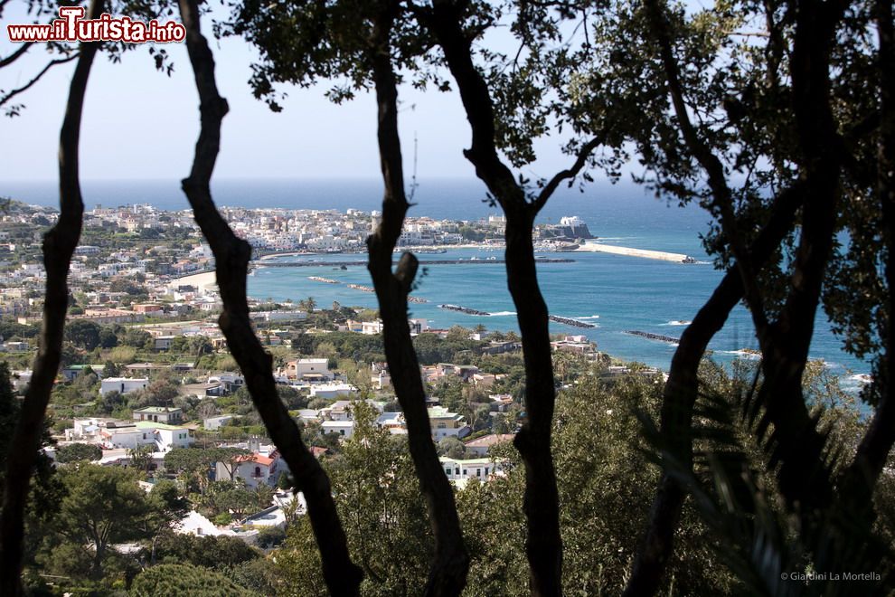 Immagine Vista panoramica sulla città dai Giardini La Mortella (Isola di Ischia, Campania).