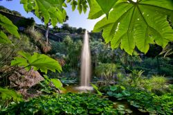 I Giardini La Mortella di Ischia sono stati progettati negli anni Cinquanta dal paesaggista Russell Page.