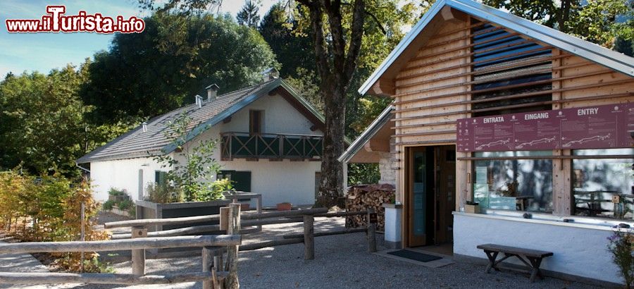 Immagine Ingresso dell'area di Malga Costa ad Arte Sella, Borgo Val Sugana in Trentino - © Arte Sella