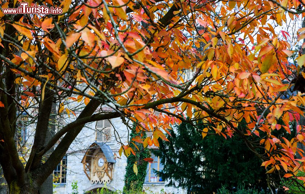 Immagine Il foliage autunnale di un albero (Prunus Triloba Multiplex) in una giornata nuvolosa al Bois de Vincennes, Parigi, Francia. Sullo sfondo un bell'orologio in legno sulla facciata dell'edificio.
