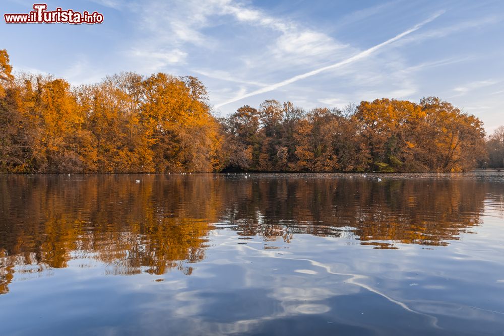 Immagine Il lago Minimes è uno dei due grandi spazi d'acqua del bosco di  Vincennes a Parigi