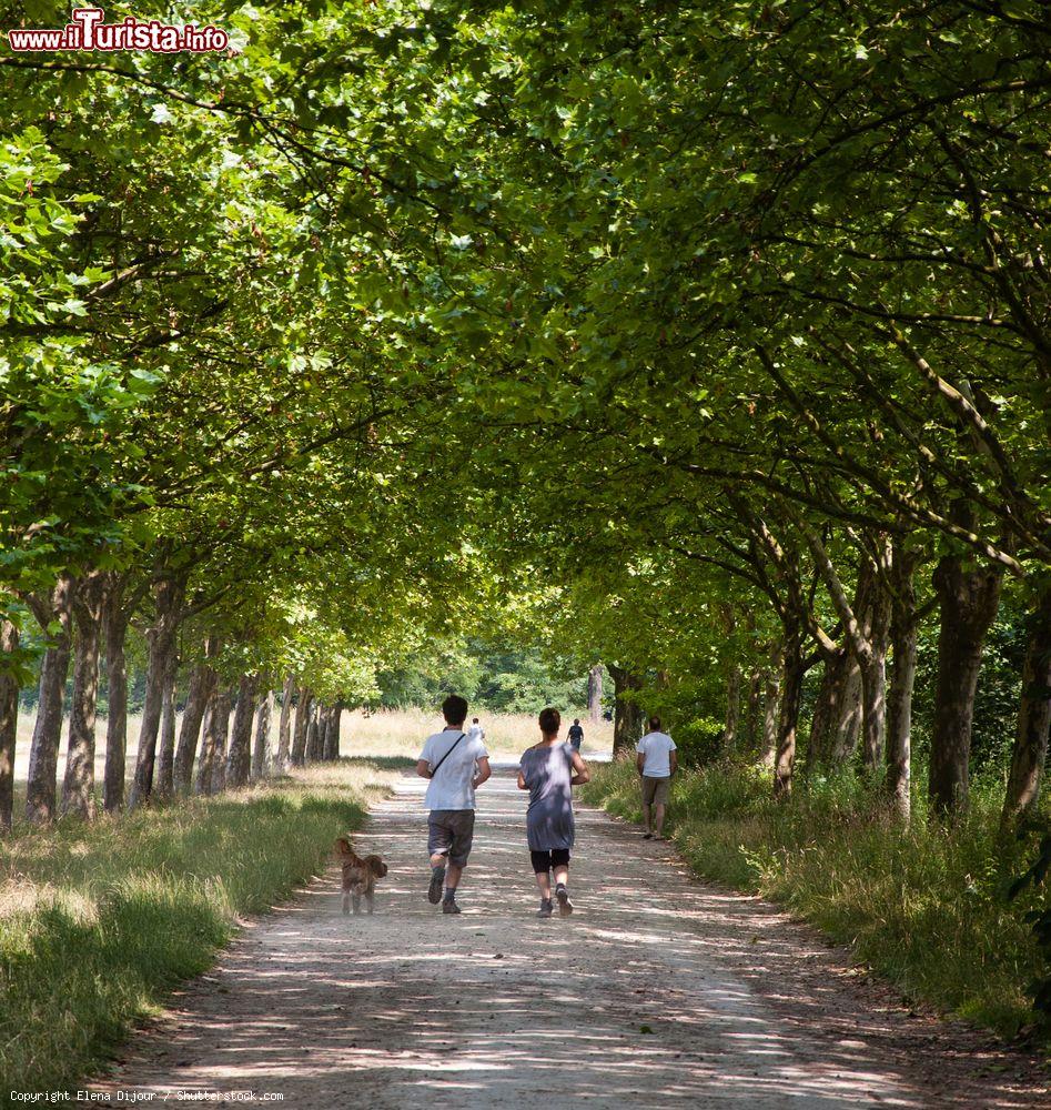 Immagine Jogging al Bois de Vincennes, Parigi, Francia. Fra le tante attività sportive che si possono praticare nel parco francese vi sono anche passeggiate e corse su sentieri ben segnalati - © Elena Dijour / Shutterstock.com