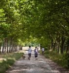 Jogging al Bois de Vincennes, Parigi, Francia. Fra le tante attività sportive che si possono praticare nel parco francese vi sono anche passeggiate e corse su sentieri ben segnalati - Elena ...