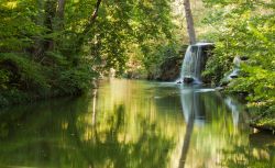 Una piccola cascata al Parco di Vincennes, Parigi, Francia. In quest'area verde, originariamente riserva di caccia utilizzata dai reali francesi, vi sono splendidi scorci naturali.



 ...