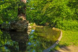 Un pittoresco angolo bucolico al Bois de Vincennes, Parigi, Francia. A trasformare quest'area verde in parco pubblico nel 1860 fu Napoleone III°.



