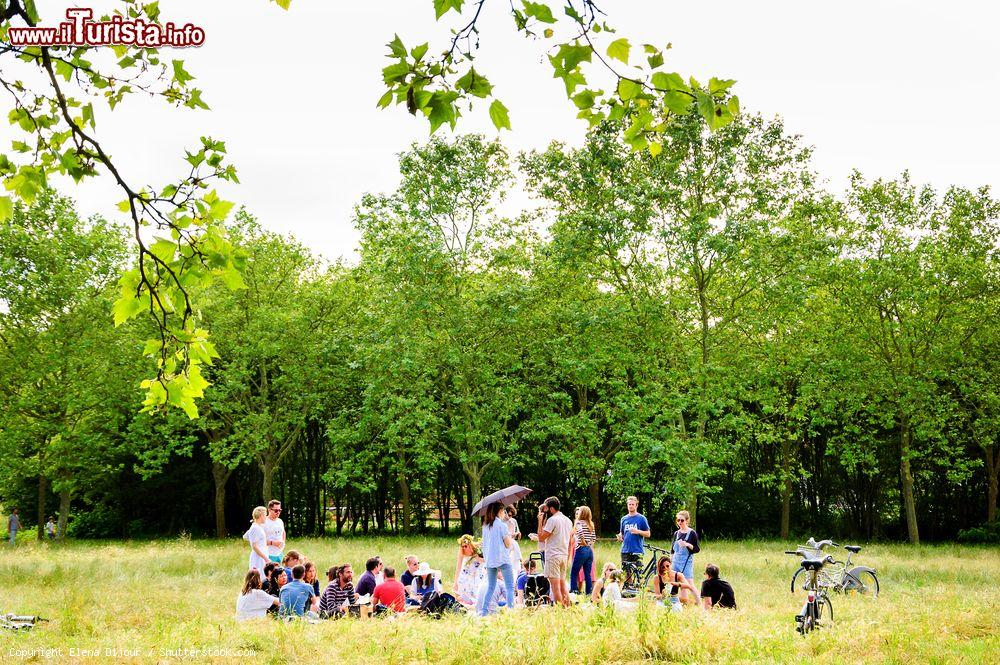 Immagine Relax e picnic fra la natura del Bois de Vincennes, Parigi, Francia. Frequentato durante tutto l'anno, è soprattutto d'estate che accoglie all'ombra dei suoi alberi parigini e turisti - © Elena Dijour / Shutterstock.com