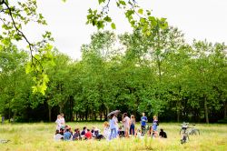 Relax e picnic fra la natura del Bois de Vincennes, Parigi, Francia. Frequentato durante tutto l'anno, è soprattutto d'estate che accoglie all'ombra dei suoi alberi parigini ...