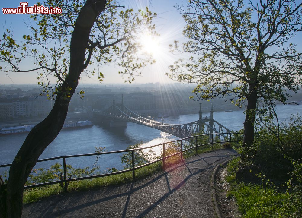 Immagine L'alba sul Danubio e sul monte Gellert con il ponte della Libertà (Szabadsag Hid) a Budapest, Ungheria. La capitale ungherese si estende su entrambe le rive del fiume che nasce in Germania nella Foresta Nera e scorre maestoso per 2800 km prima di gettarsi nel Mar Nero.