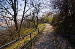 Un sentiero sulla collina Gellert a Budapest, ...