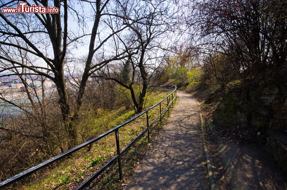 Immagine Un sentiero sulla collina Gellert a Budapest, Ungheria. Questo monte è uno dei luoghi preferiti dagli ungheresi e dai turisti per passeggiare in completo relax immersi nella natura.