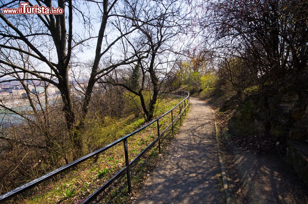 Immagine Un sentiero sulla collina Gellert a Budapest, Ungheria. Questo monte è uno dei luoghi preferiti dagli ungheresi e dai turisti per passeggiare in completo relax immersi nella natura.