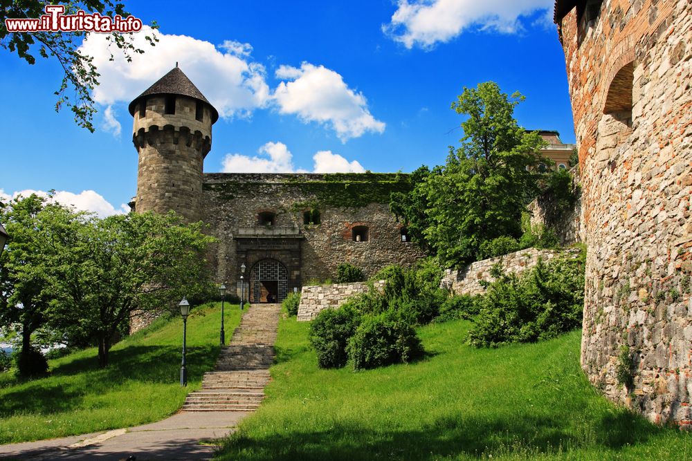 Immagine Il cortile del Palazzo Reale di Budapest, Ungheria. Budavari Palota con il suo giardino fa parte dal 1987 dei Patrimoni dell'Umanità dell'Unesco.