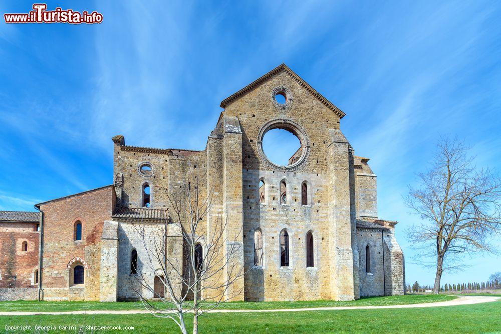 Immagine L'abbazia cistercense di San Galgano, Siena, Toscana. Une bella veduta di questa maestosa chiesa scoperchiata che si erge in mezzo al nulla nelle campagne di Siena - © Georgia Carini / Shutterstock.com