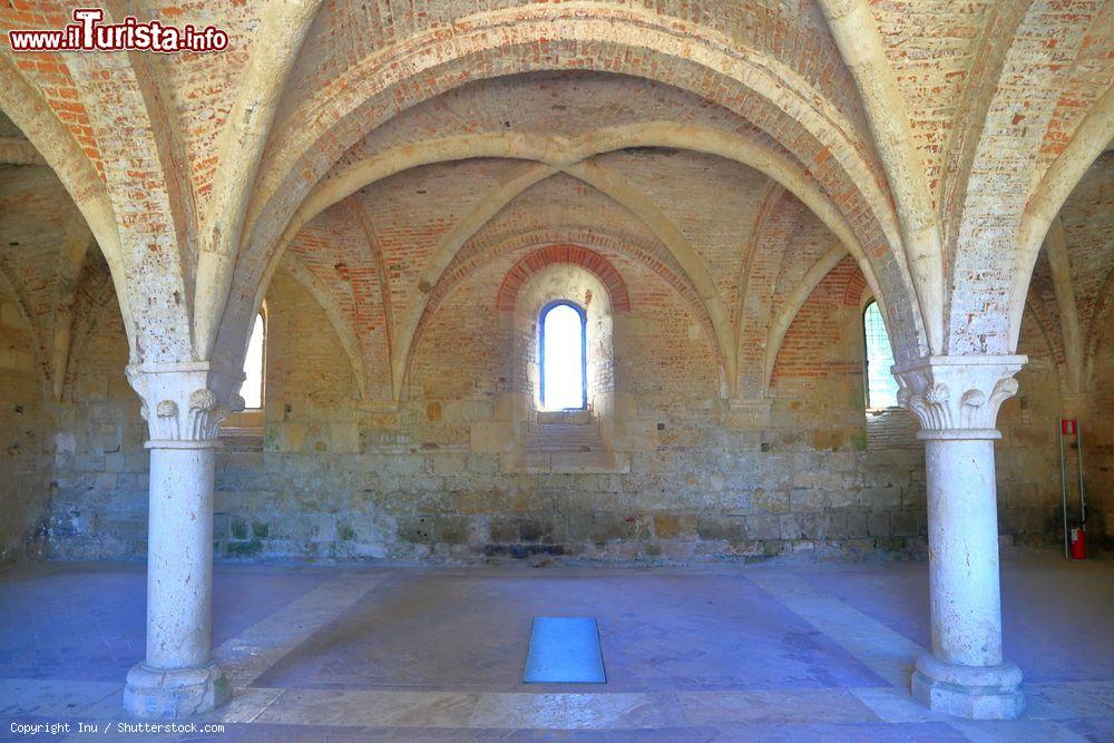 Immagine Gli archi in stile gotico della Sala Capitolare dell'abbazia di San Galgano, Siena, Toscana - © Inu / Shutterstock.com