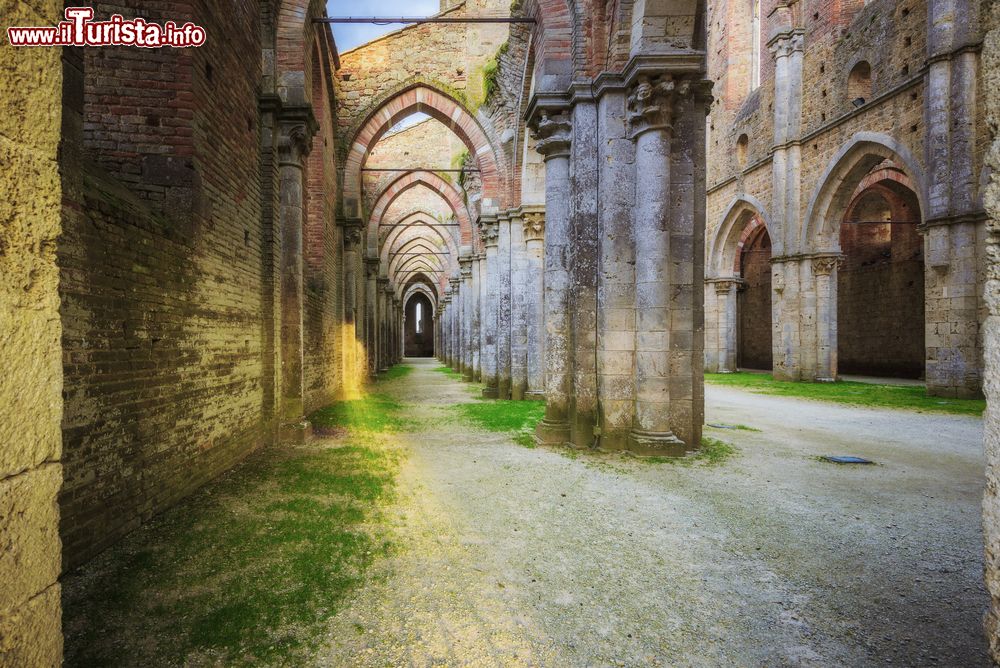 Immagine L'eremo abbandonato di San Galgano, Siena, Toscana. La luce soffusa del tramonto all'interno dell'abbazia senese.