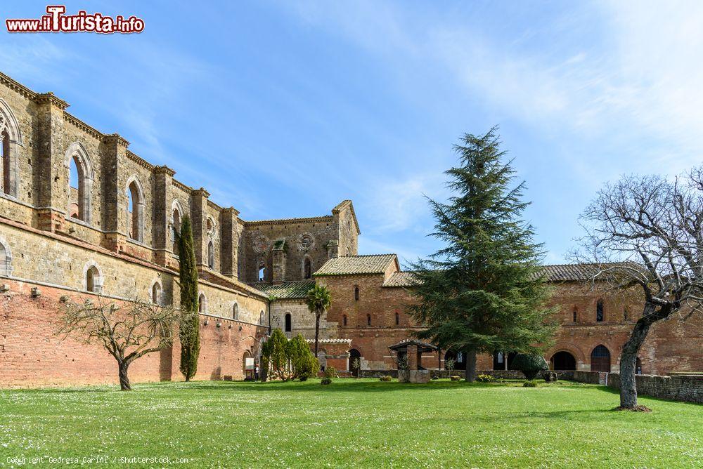 Immagine Il monastero di San Galgano, Siena, Toscana. A fare da cornice alle rovine dell'abbazia è la splendida campagna nei dintorni di Siena - © Georgia Carini / Shutterstock.com