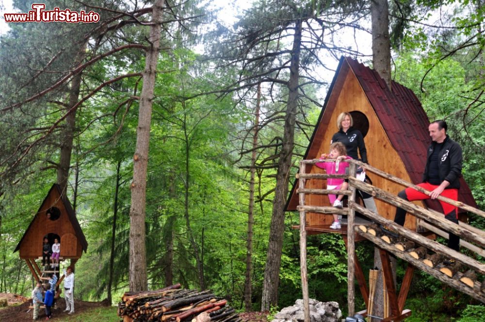 Immagine Il Tree Village di Claut, il villaggio sugli alberi del Friuli - © www.montagna.es