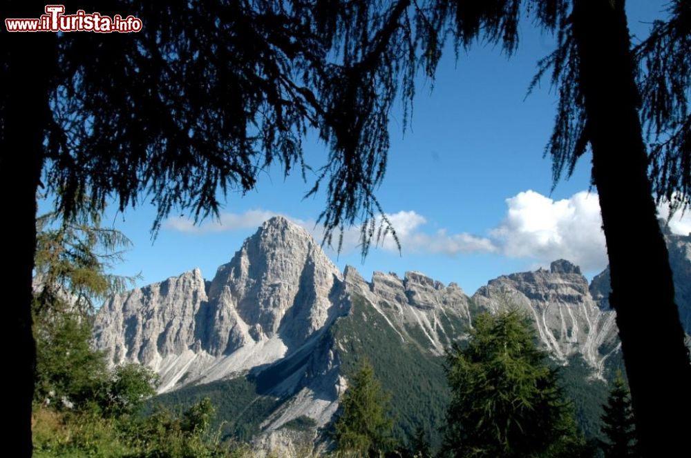 Immagine Paesaggio delle dolomiti friulane fotografato dal Tree Village di Claut - © www.montagna.es