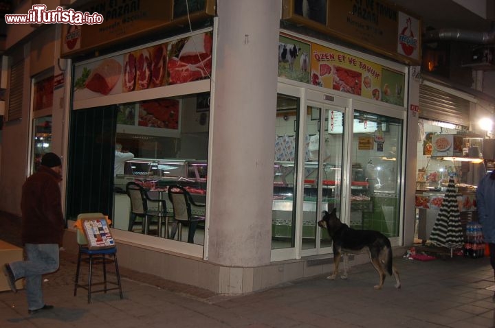 All'esterno del gran bazar un cane sogna la sua bistecca