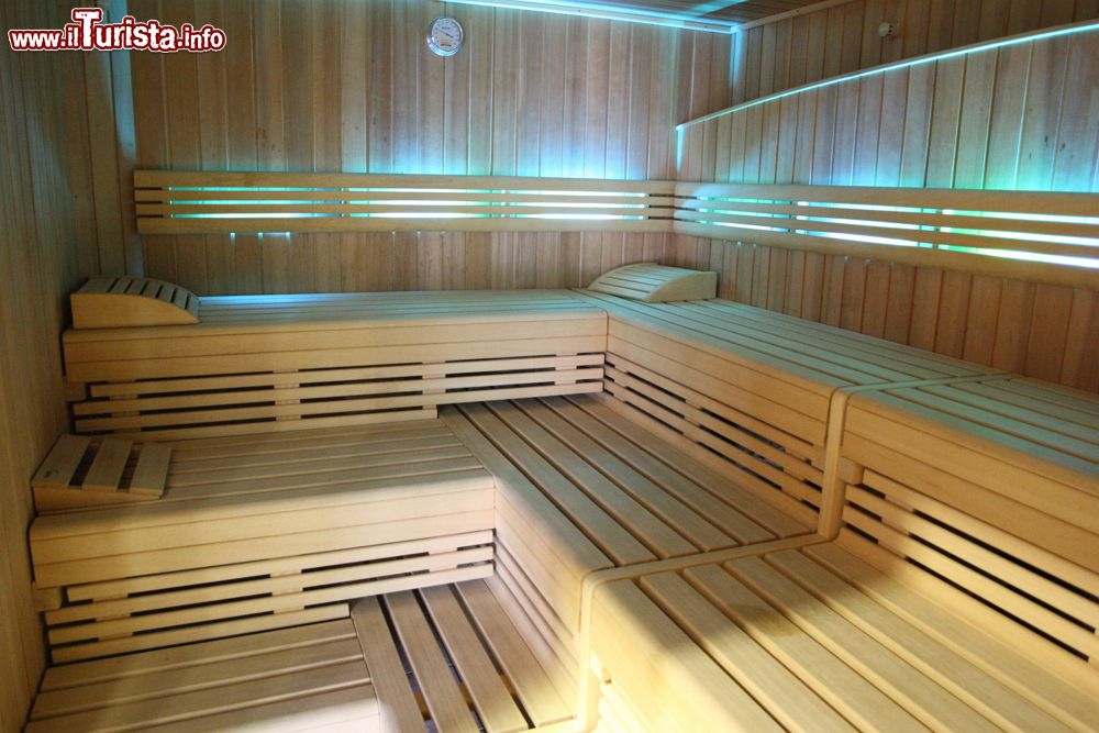Immagine La Sauna Finlandese alle Bioterme di Ljutomer, Slovenia