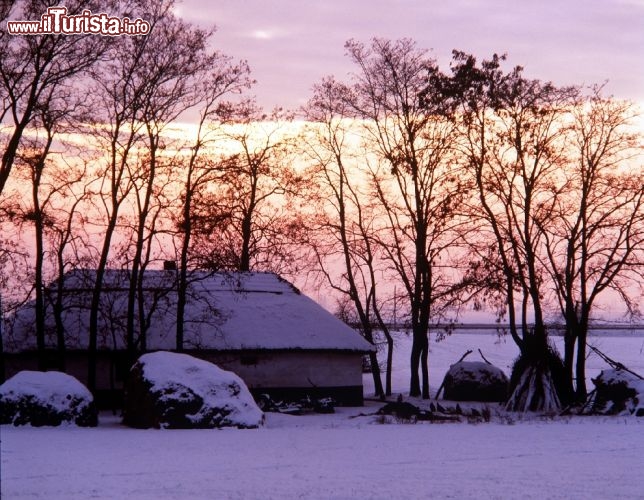 Natura inverno