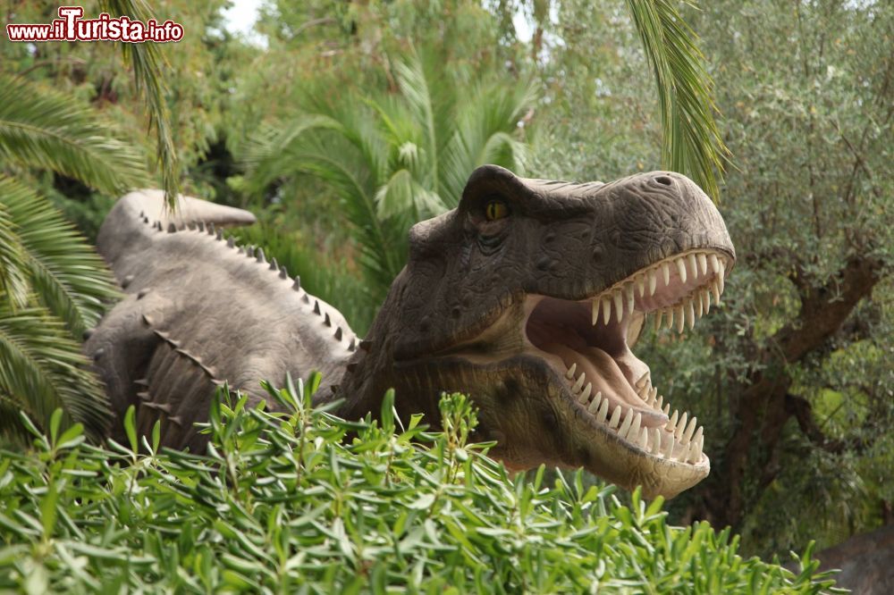 Immagine Il Tyrannosaurus rex è considerato uno dei più feroci predatori di tutti i tempi. Qui lo vediamo nel Parco dei Dinosauri di Castellana Grotte (Bari). - © www.ilparcodeidinosauri.it