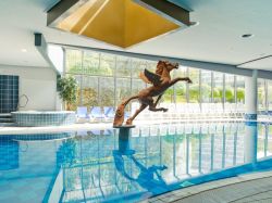 Una piscina delle Terme di Rogaska in Slovenia: La sorgente si trova a 1700 m di profondità con una temperatura di 59°C