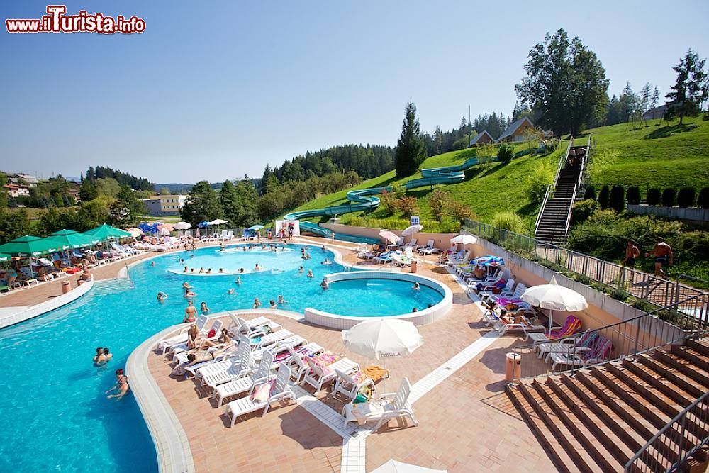 Immagine Terme di Topolsica Slovenia: vista panoramica della piscina outdoor estiva